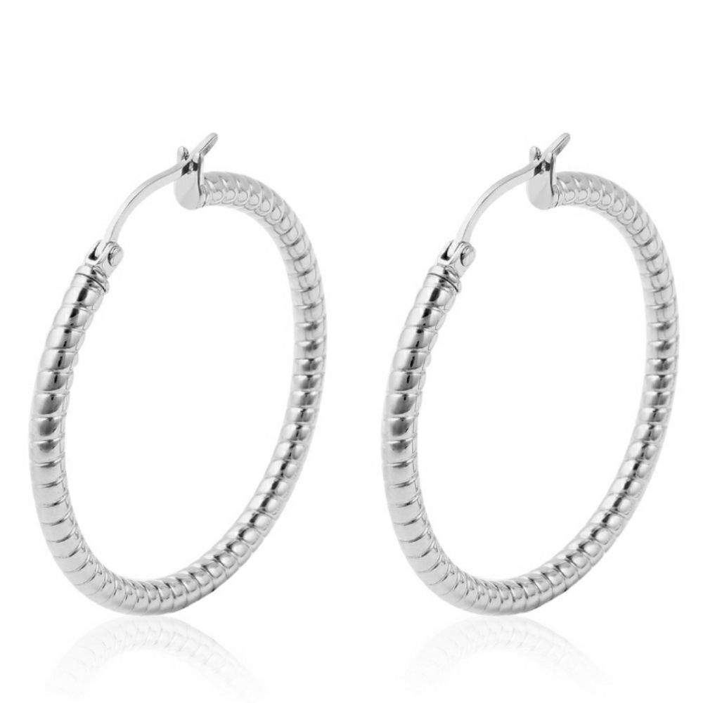 Earrings‎